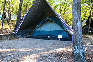 Wild Coast Tented Lodge
